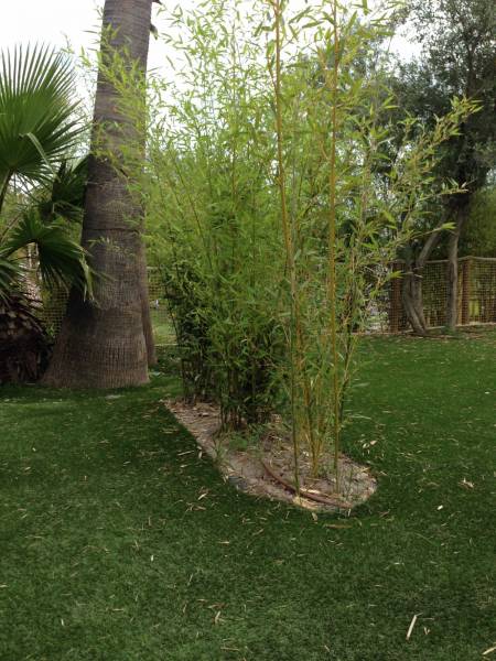 Installation de gazon synthétique dans le Var pour un camping